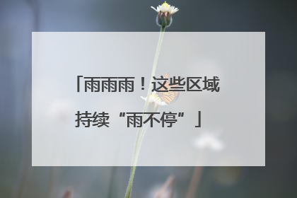雨雨雨！这些区域持续“雨不停”