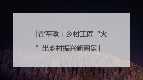 霍军政：乡村工匠“火”出乡村振兴新图景