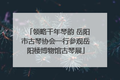 领略千年琴韵 岳阳市古琴协会一行参观岳阳楼博物馆古琴展
