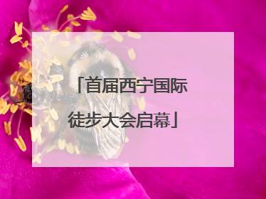 首届西宁国际徒步大会启幕