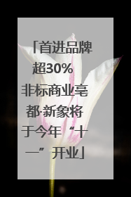 首进品牌超30% 非标商业亳都·新象将于今年“十一”开业