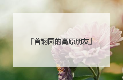 首钢园的高原朋友