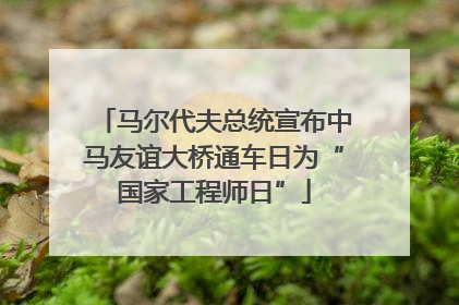 马尔代夫总统宣布中马友谊大桥通车日为“国家工程师日”