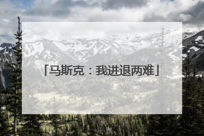 马斯克：我进退两难
