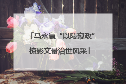 马永嬴“以陵窥政” 掠影文景治世风采