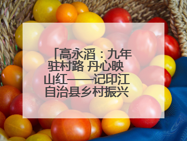 高永滔：九年驻村路 丹心映山红——记印江自治县乡村振兴“续航者”