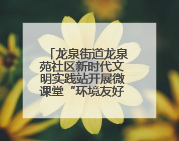 龙泉街道龙泉苑社区新时代文明实践站开展微课堂“环境友好社区”主题宣讲活动