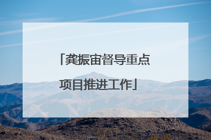 龚振宙督导重点项目推进工作