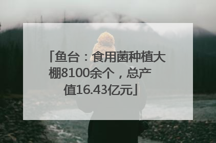 鱼台：食用菌种植大棚8100余个，总产值16.43亿元