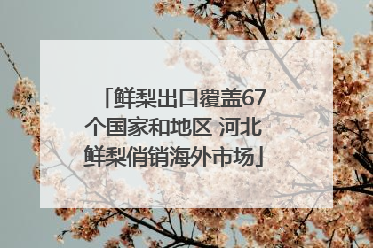 鲜梨出口覆盖67个国家和地区 河北鲜梨俏销海外市场