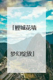 鲤城花墙 梦幻绽放