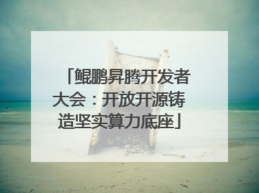 鲲鹏昇腾开发者大会：开放开源铸造坚实算力底座