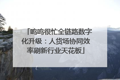 鸣鸣很忙全链路数字化升级：人货场协同效率刷新行业天花板