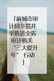 麻城市审计局多措并举推进全省审计机关 “三大提升年” 行动