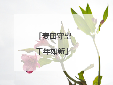 麦田守望 千年如新