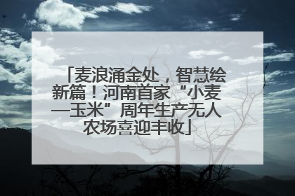 麦浪涌金处，智慧绘新篇！河南首家“小麦—玉米”周年生产无人农场喜迎丰收