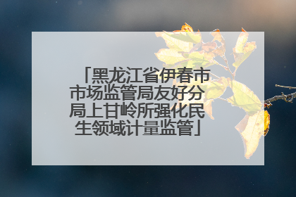 黑龙江省伊春市市场监管局友好分局上甘岭所强化民生领域计量监管
