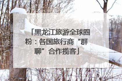 黑龙江旅游全球圈粉：各国旅行商“群聊”合作揽客