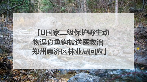 ﻿国家二级保护野生动物误食鱼钩被送医救治 郑州惠济区林业局回应