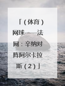 （体育）网球——法网：辛纳对阵阿尔卡拉斯（2）