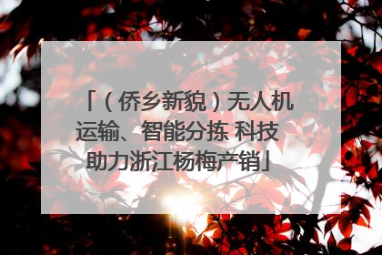 （侨乡新貌）无人机运输、智能分拣 科技助力浙江杨梅产销