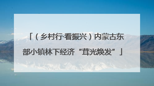 （乡村行·看振兴）内蒙古东部小镇林下经济“茸光焕发”