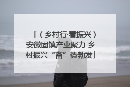 （乡村行·看振兴）安徽固镇产业聚力 乡村振兴“畜”势勃发