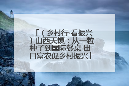 （乡村行·看振兴）山西天镇：从一粒种子到国际餐桌 出口富农促乡村振兴