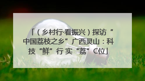 （乡村行·看振兴）探访“中国荔枝之乡”广西灵山：科技“鲜”行 实“荔”C位