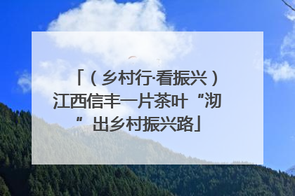 （乡村行·看振兴）江西信丰一片茶叶“沏”出乡村振兴路