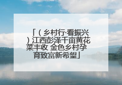 （乡村行·看振兴）江西彭泽千亩黄花菜丰收 金色乡村孕育致富新希望