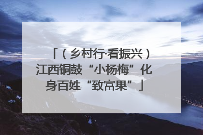 （乡村行·看振兴）江西铜鼓“小杨梅”化身百姓“致富果”