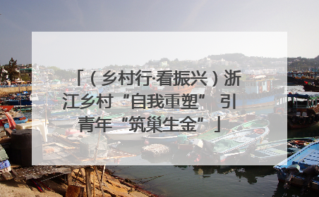（乡村行·看振兴）浙江乡村“自我重塑” 引青年“筑巢生金”