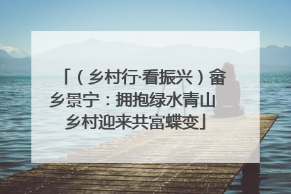 （乡村行·看振兴）畲乡景宁：拥抱绿水青山 乡村迎来共富蝶变