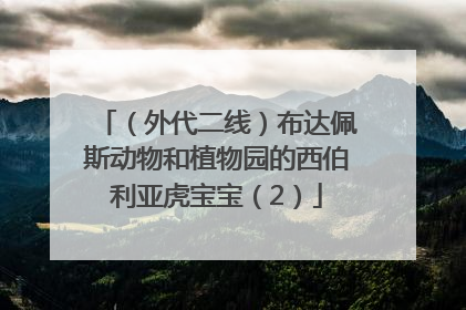 （外代二线）布达佩斯动物和植物园的西伯利亚虎宝宝（2）