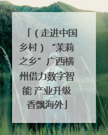 （走进中国乡村）“茉莉之乡”广西横州借力数字智能 产业升级香飘海外