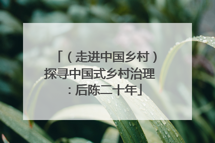 （走进中国乡村）探寻中国式乡村治理：后陈二十年