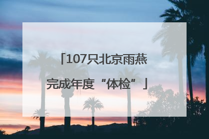 107只北京雨燕完成年度“体检”