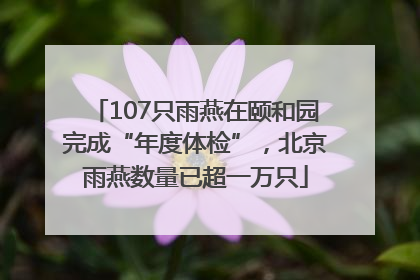 107只雨燕在颐和园完成“年度体检”，北京雨燕数量已超一万只