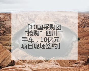 10国采购团“抢购”四川二手车，10亿元项目现场签约