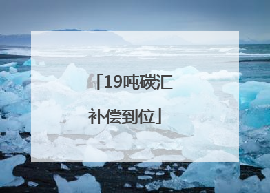 19吨碳汇补偿到位