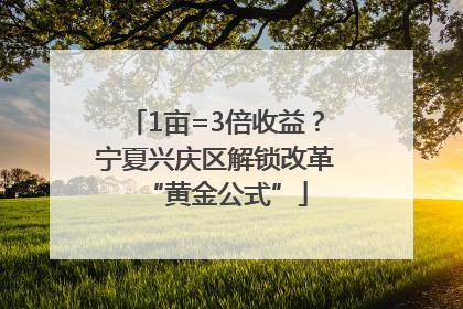1亩=3倍收益？宁夏兴庆区解锁改革“黄金公式”