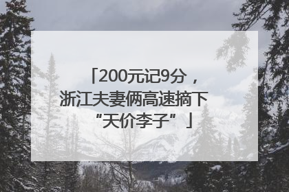 200元记9分，浙江夫妻俩高速摘下“天价李子”