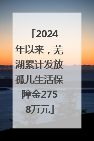 2024年以来，芜湖累计发放孤儿生活保障金2758万元