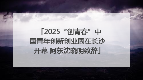 2025“创青春”中国青年创新创业周在长沙开幕 阿东沈晓明致辞