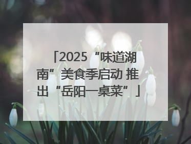 2025“味道湖南”美食季启动 推出“岳阳一桌菜”