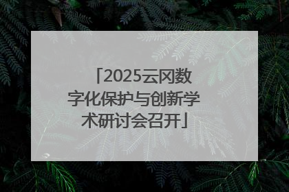 2025云冈数字化保护与创新学术研讨会召开