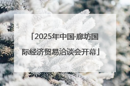 2025年中国·廊坊国际经济贸易洽谈会开幕