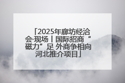 2025年廊坊经洽会·现场丨国际招商“磁力”足 外商争相向河北推介项目