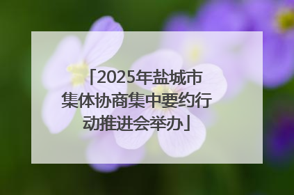 2025年盐城市集体协商集中要约行动推进会举办